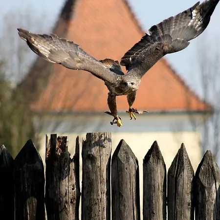 Kanianka Prázdninový dům